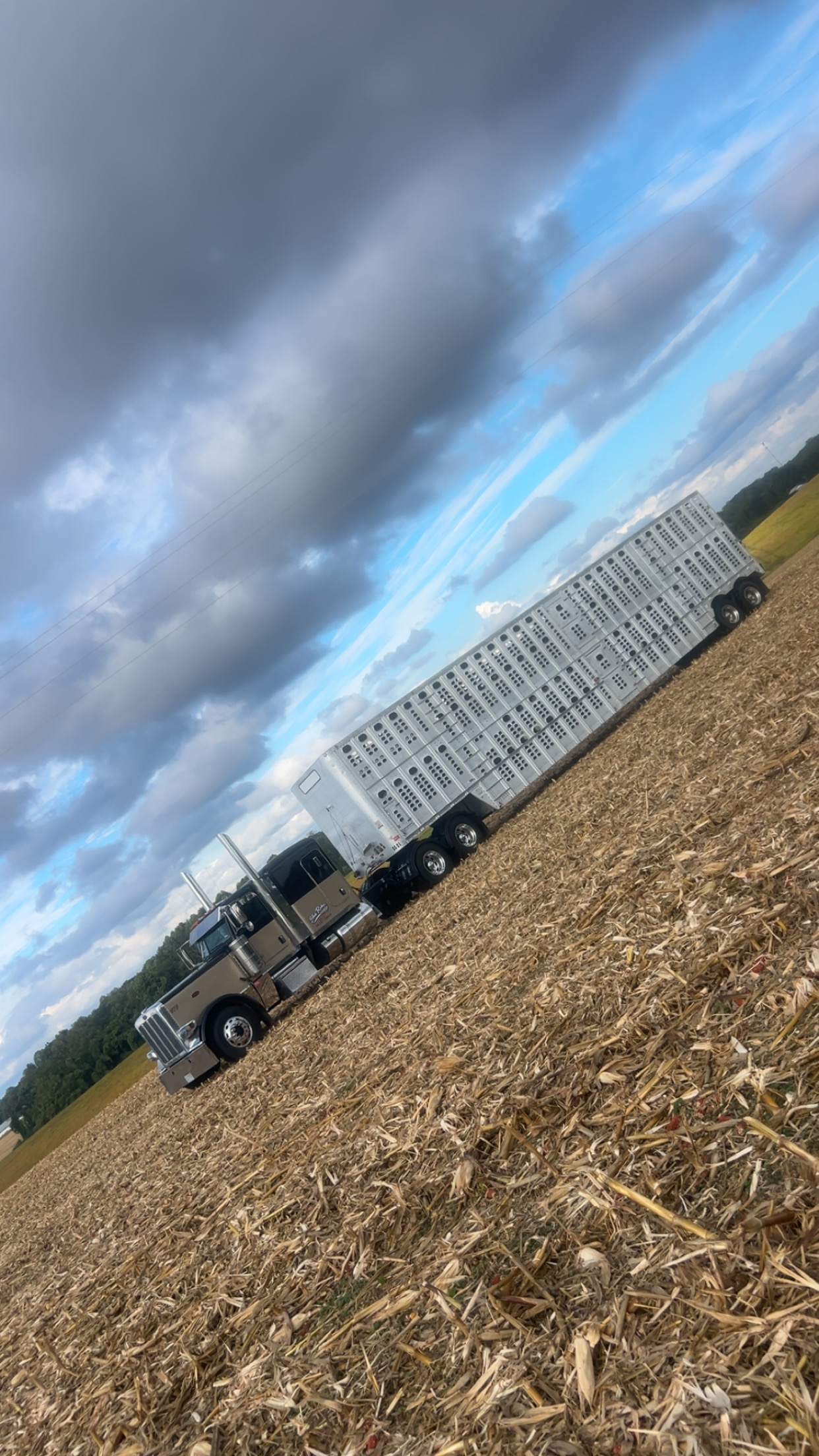 Show us what you are bringing! Upload a photo.